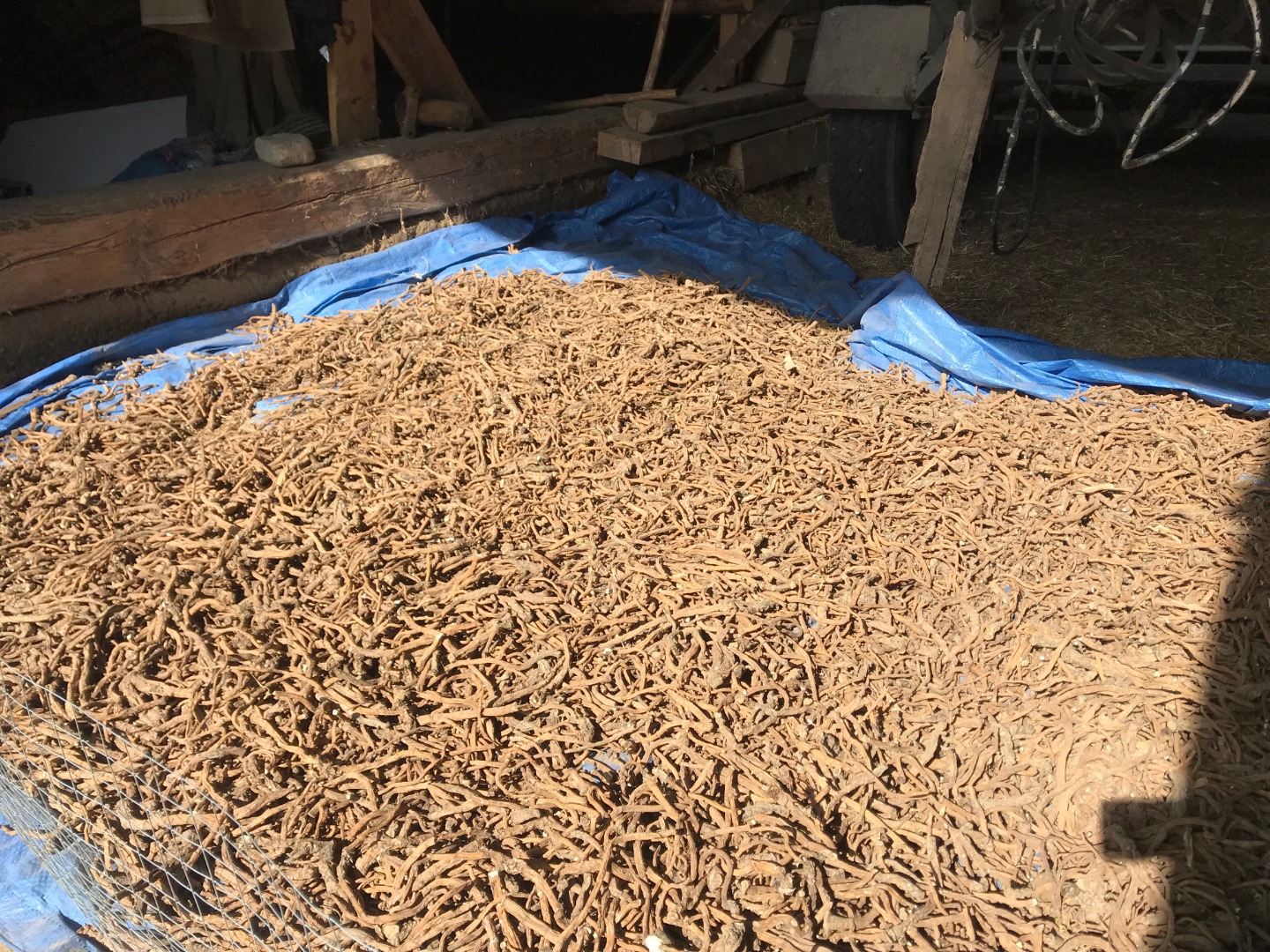 Hola, tengo a la venta 700 kg de raíz seca de diente de león, cosecha 2019