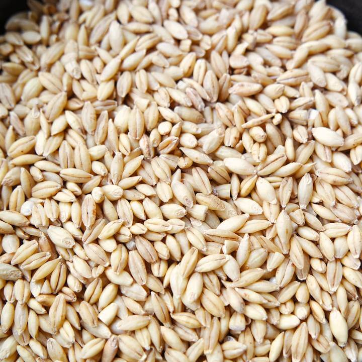 La cebada tiene una importancia económica importante y se usa ampliamente en la cría de animales (como parte de la alimentación concentrada del ganado), la