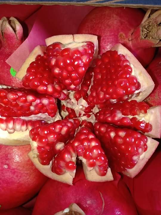 Hola, granadas a la venta, las frutas provienen de Túnez, contáctame :)