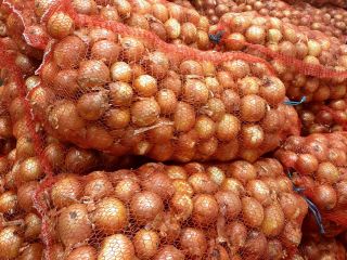Venderé hermosas cebollas doradas, calibre 5 + 8, sanas,