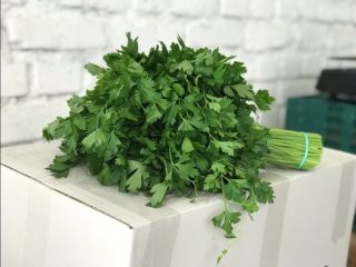 Aceptamos pedidos contractuales de hierbas (eneldo, perejil, cilantro, menta)