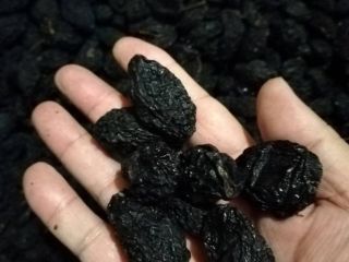 Ciruelas pasas con Serbia sin hueso y sin hueso