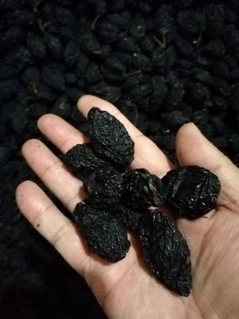 Ciruelas pasas con Serbia sin hueso y sin hueso Le ofrecemos a la venta ciruelas pasas con hueso y sin hueso