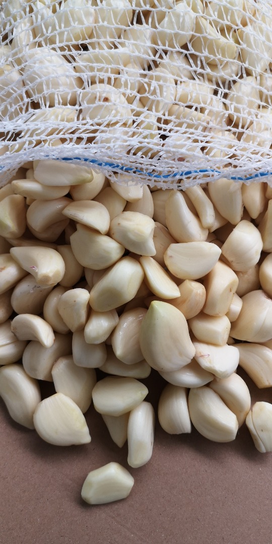 en venta ajo pelado, muy buena calidad, garantizo continuidad de suministro