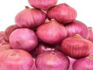 cebolla amarilla fresca para la venta para más detalles