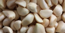 Vendo WhatsApp de ajo blanco para más detalles sobre precios