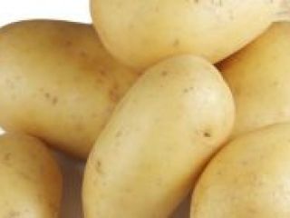 Papas holandesas para vender para más detalles sobre precios