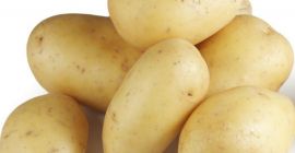 Papas holandesas para vender para más detalles sobre precios