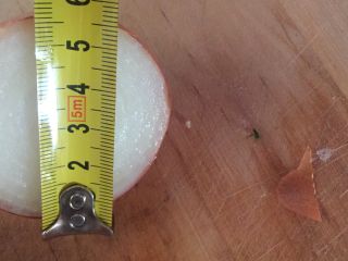 Calibre de cebolla 5-7 cm seco, muy bonito