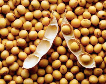 Nuestra empresa suministra Ucrania, cereales, semillas oleaginosas, así como sus productos bajo los términos de DAF, FCA, CPT, CIF