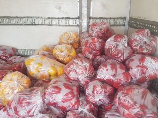 Hola, venderé tomates rojos y verdes si tienes preguntas,