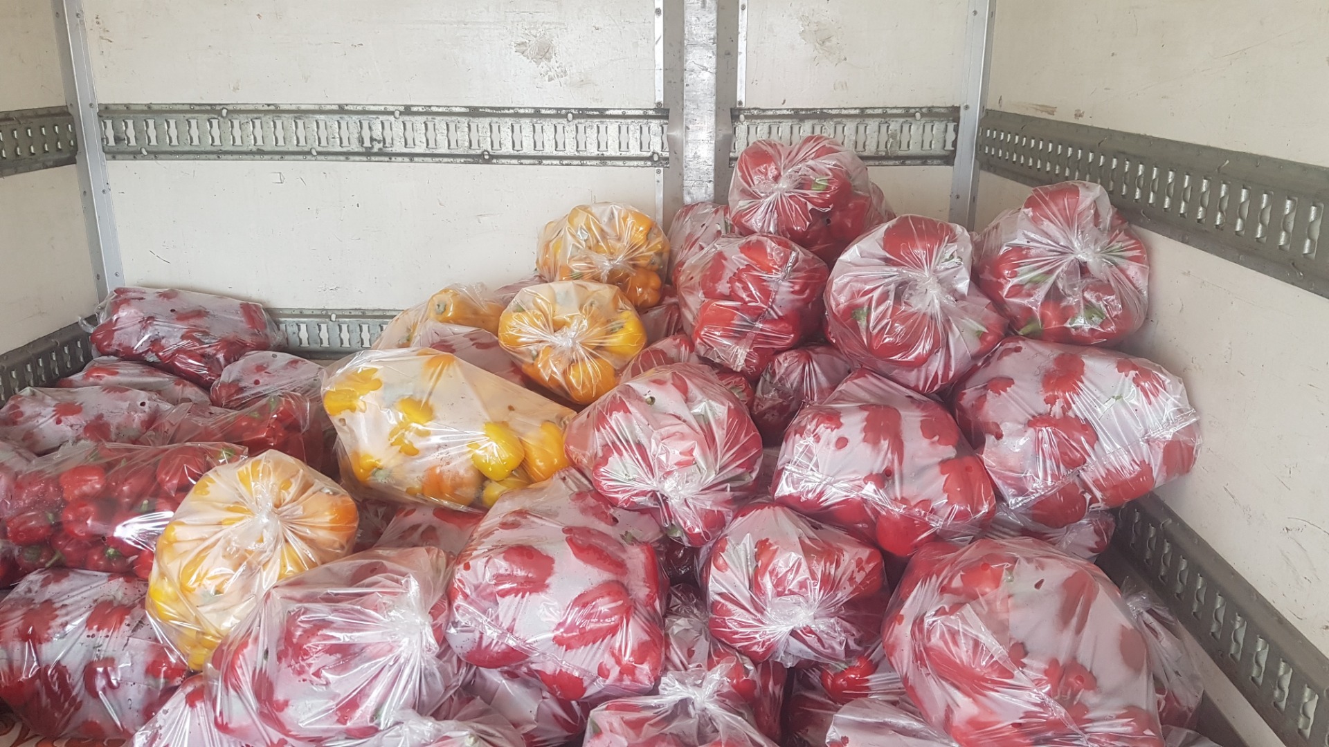 Hola, venderé tomates rojos y verdes si tienes preguntas, llama