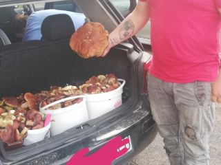 Venderé setas boletus a pedido.