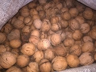 Venderé nueces orgánicas de la cosecha actual de mi