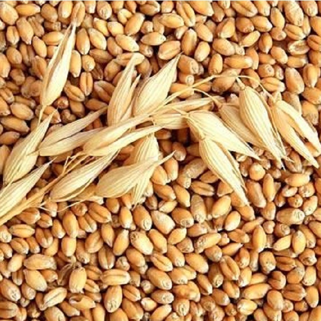 Suministramos alimentos y bebidas FMCG y muchos más productos, póngase en contacto si está interesado