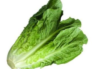 Suministramos alimentos y bebidas FMCG y muchos más productos,