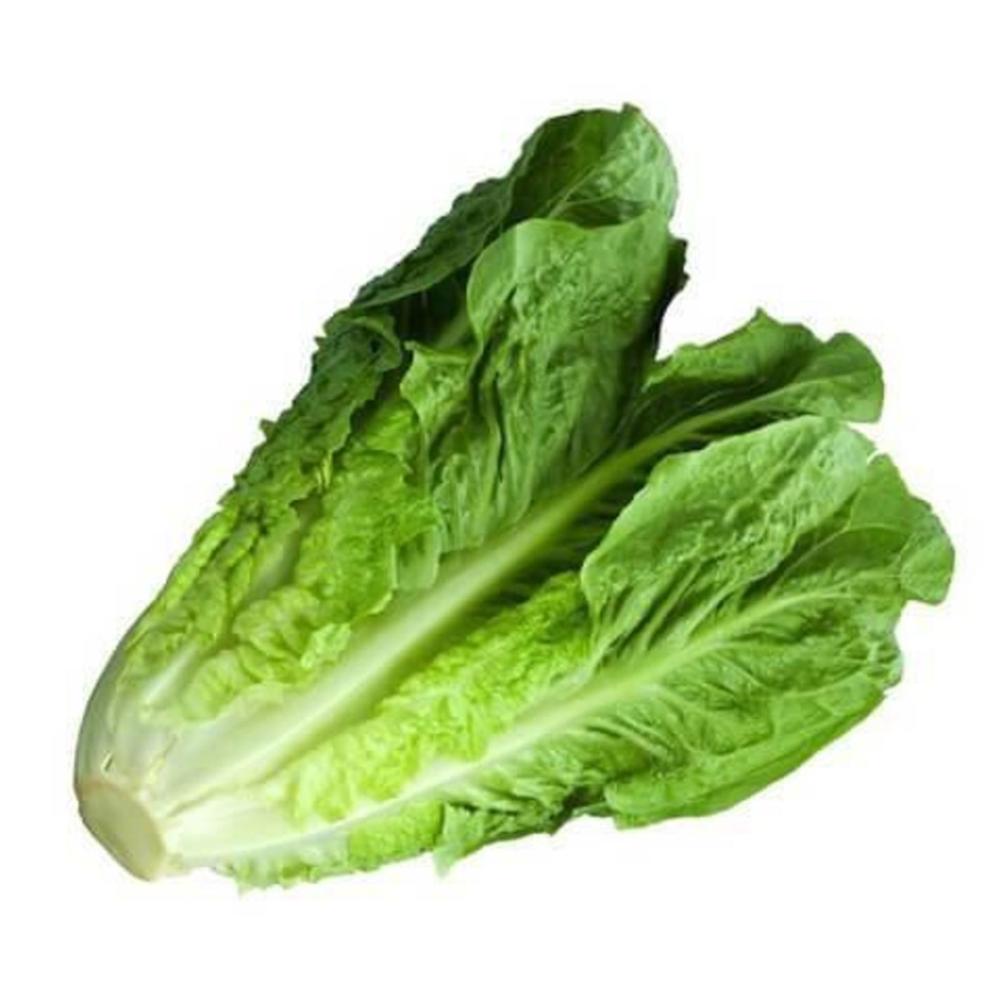 Suministramos alimentos y bebidas FMCG y muchos más productos, póngase en contacto si está interesado