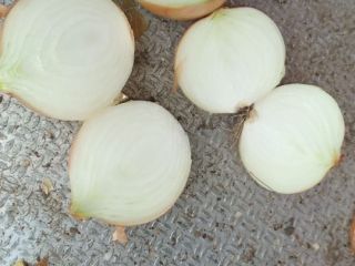 Hola, tengo que ofrecer cebollas blancas en cáscara, calibre