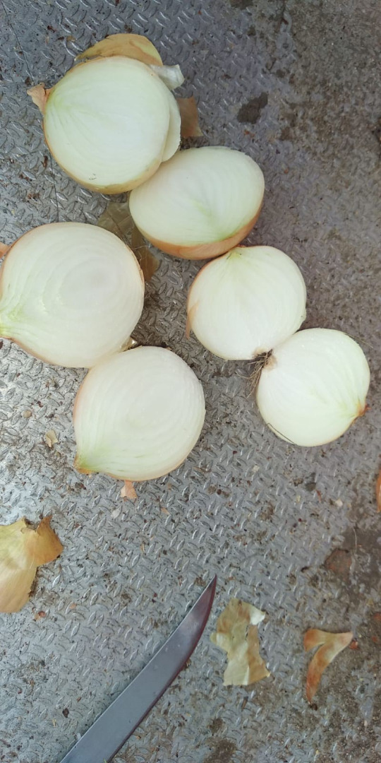 Hola, tengo que ofrecer cebollas blancas en cáscara, calibre 5+, certificado de origen y fito, derechos de aduana pagados