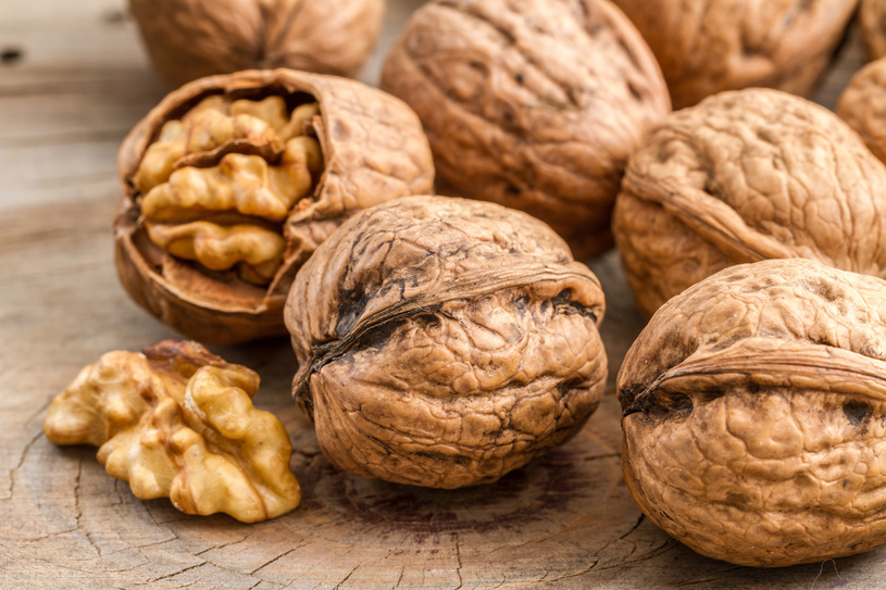 Venderé nueces de la cosecha de este año, gran cantidad