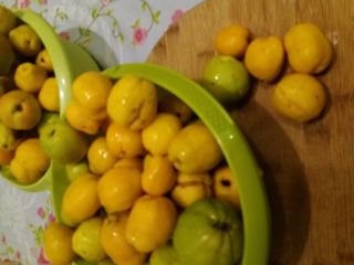 Hola, tengo que vender membrillo japonés, unos 80 kilogramos.