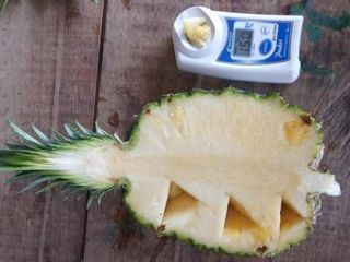 Tenemos disponible piña de Costa de Marfil en África