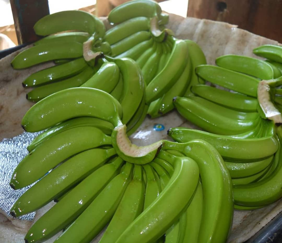 Hola, tenemos bananas de excelente calidad disponibles