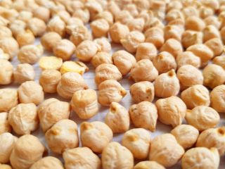 Garbanzos de alta calidad; Disponible grado 5-6 mm; Tiene