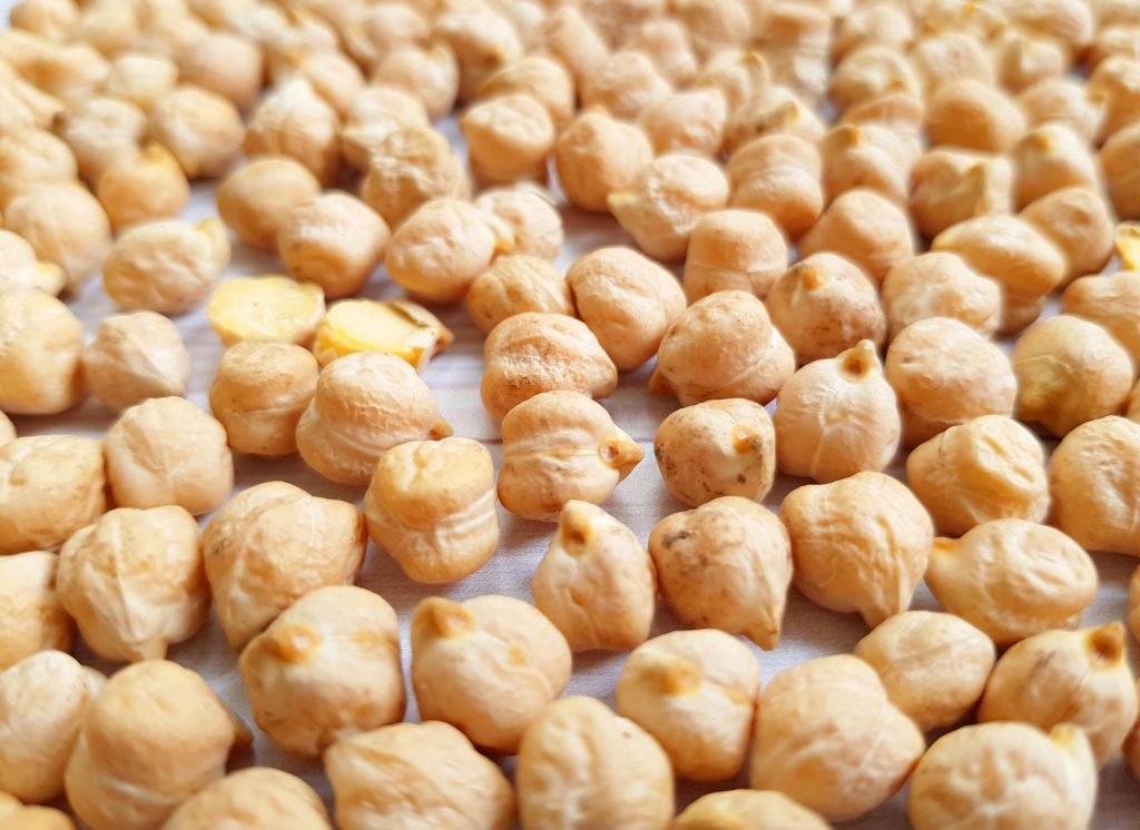 Garbanzos de alta calidad; Disponible grado 5-6 mm; Tiene una ausencia total de OMG, certificación que cumple con los estándares de calidad rusos