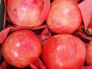 variedad: - Embalaje maravilloso: - caja de cartón de