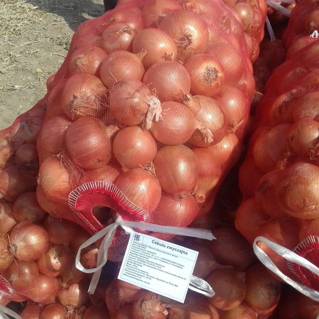 Cebolla en escala 5+ País de origen: Uzbekistán Embalaje: bolsas de 30 kg
