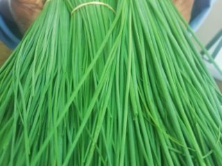 Hola, somos productores de hortalizas y hierbas. En Tanzania,