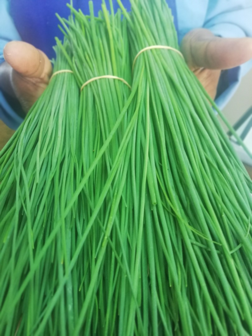 Hola, somos productores de hortalizas y hierbas