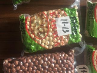 Hola, tenemos buena calidad de avellanas disponibles. Contáctenos para