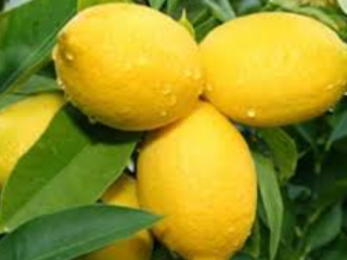 Fruto de la provincia de Chuzestan