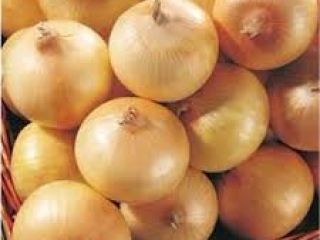 cebollas rojas y amarillas frescas 2019 para la venta