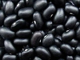 Tenemos instalaciones de procesamiento ubicadas en el corazón de