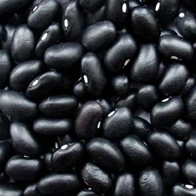 Tenemos instalaciones de procesamiento ubicadas en el corazón de cada región donde se cultivan productos de frijol