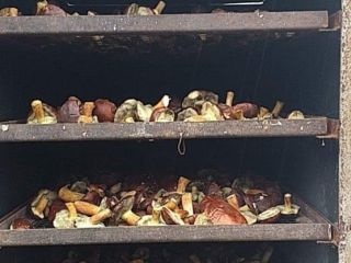 Hola, tengo a la venta hongos secos de unos