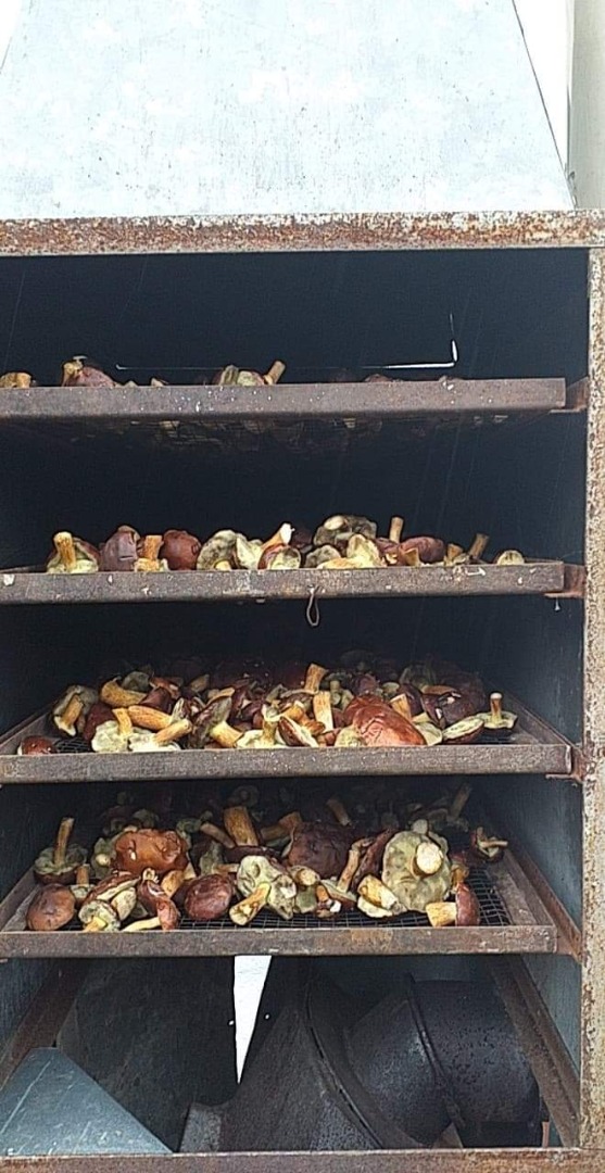 Hola, tengo a la venta hongos secos de unos 35 kg más información priv