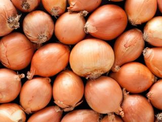 Si lo desea, podemos discutir su precio. Naturalmente cebolla,