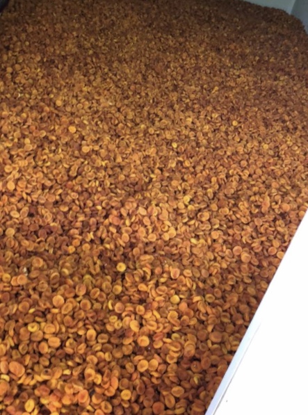ALBARICOQUES SECOS DULCES 1) Para conservas: PLN 6.50 / kg neto 2) Calibre "8": 7.65 PLN / kg neto 3) Calibre "2": PLN 12.20 / kg neto 4) Jumbo (más grande):