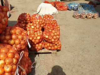Cebolla, País de origen: Uzbekistán, Embalaje: bolsas de 30