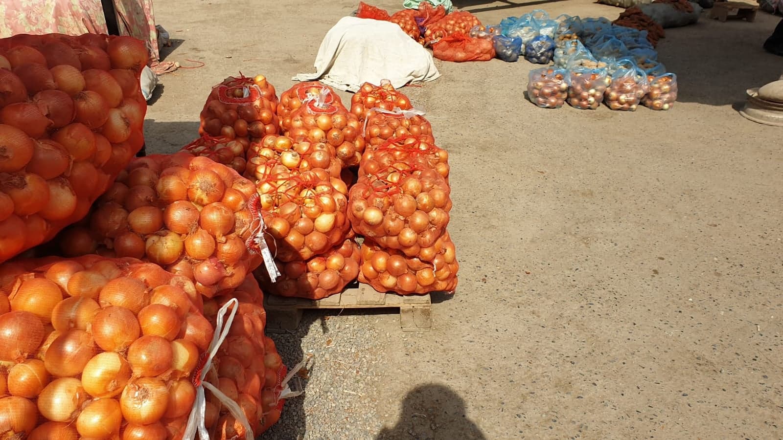 Cebolla, País de origen: Uzbekistán, Embalaje: bolsas de 30 kg
