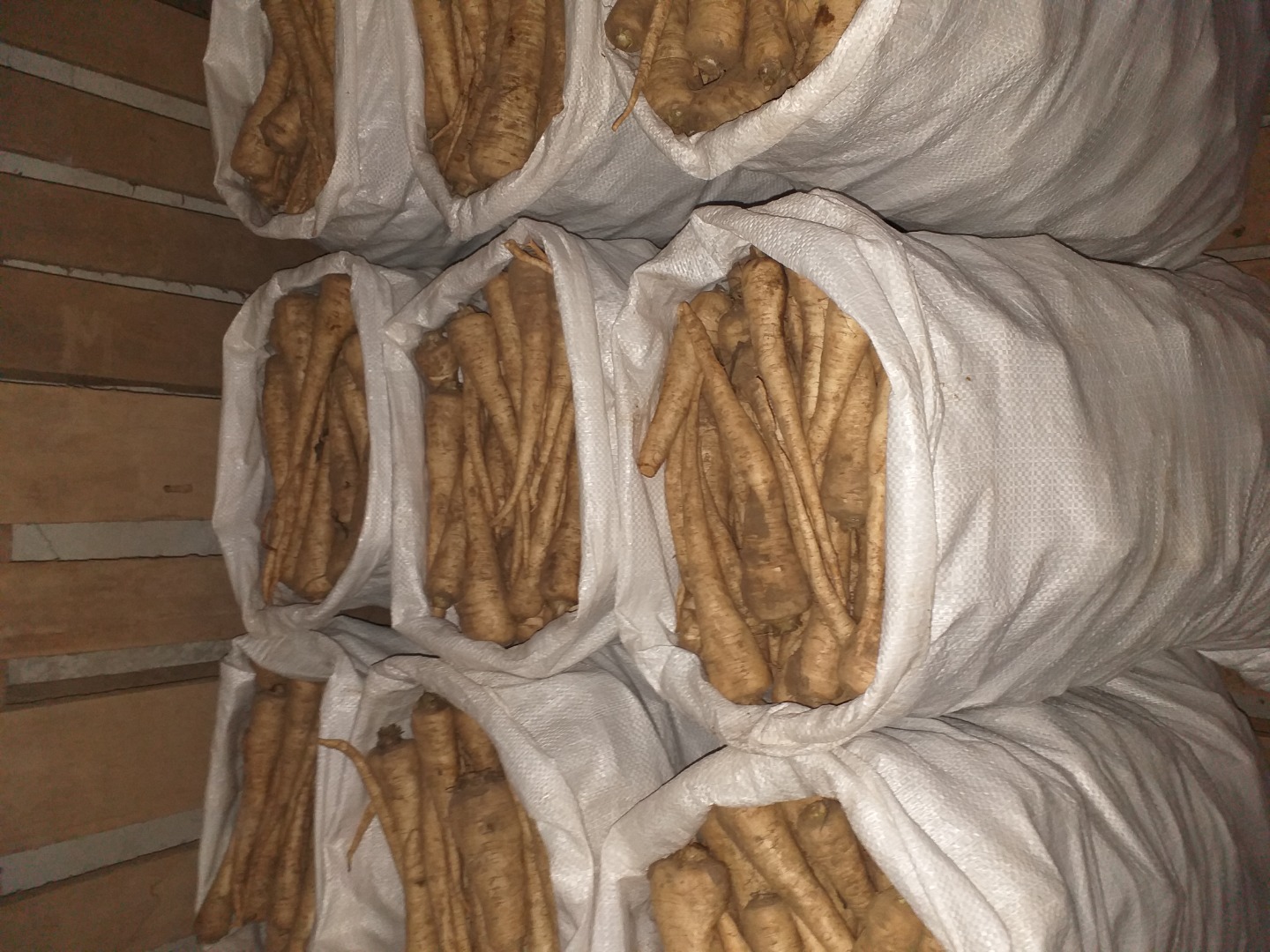 Compro perejil blanco, tamaño comercial