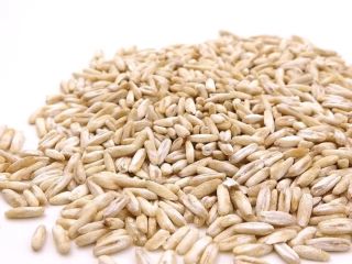 Entregamos avena al por mayor. Garantizamos alta calidad y