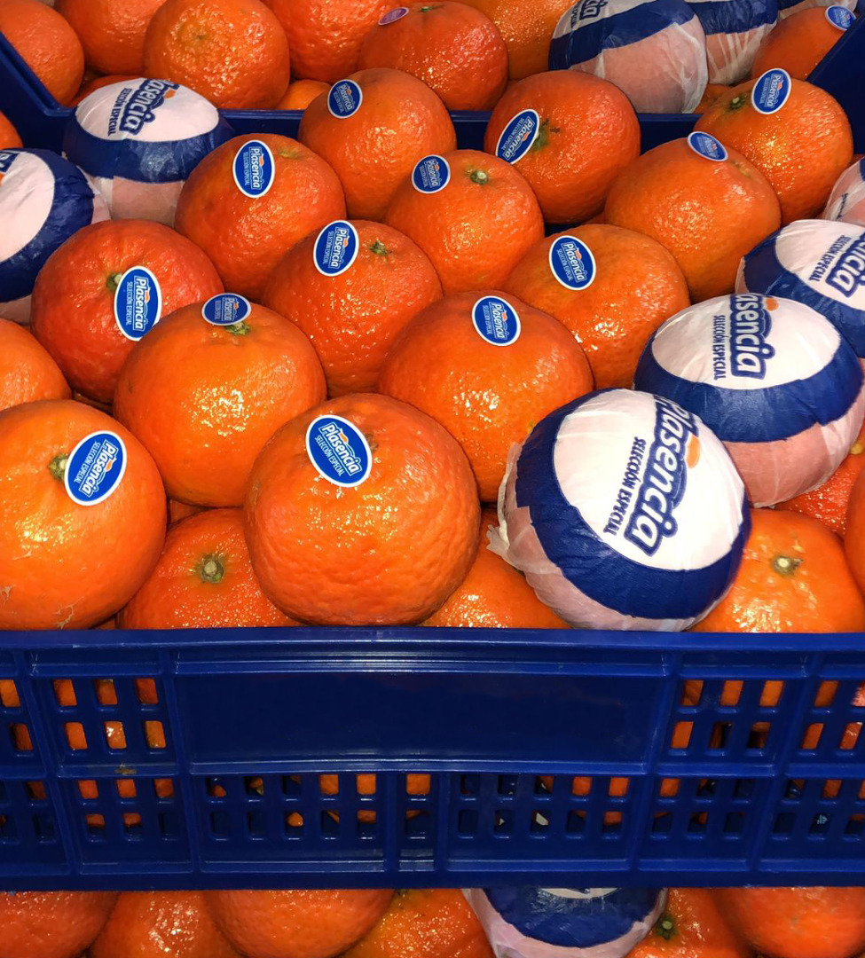En venta - MANDARIN calibre 1, 2, 3, 4 categoría 1