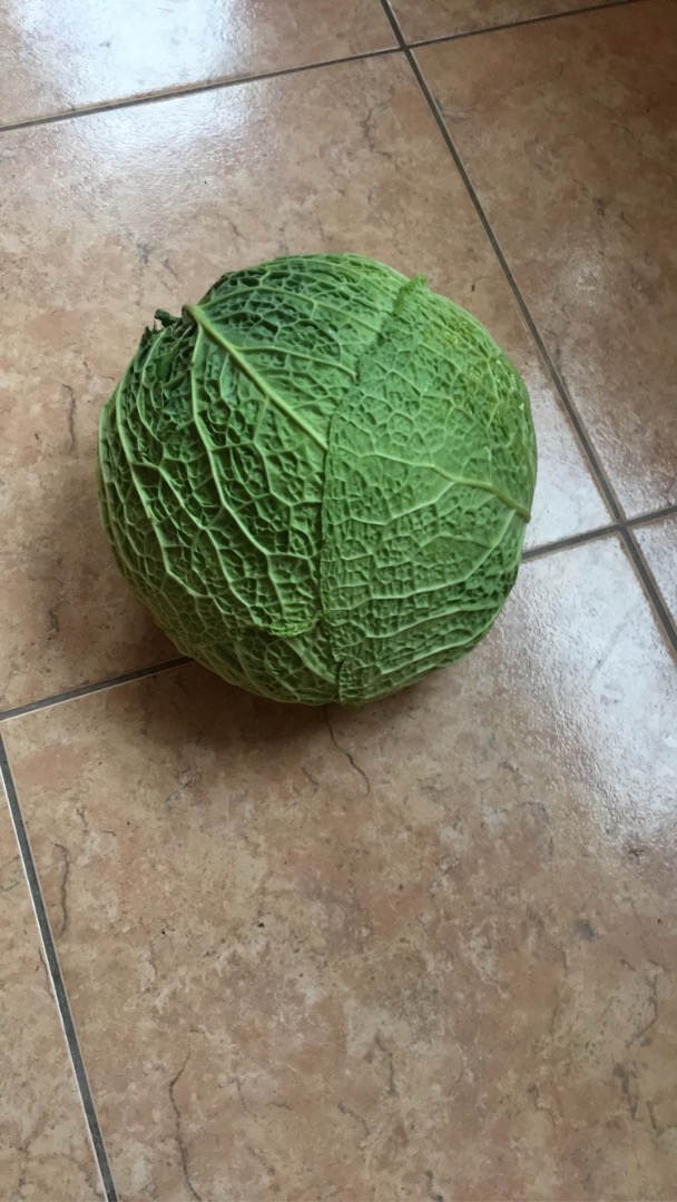 Hola, tengo que vender 2-3 kg de col italiana