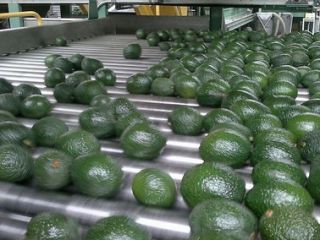 Nos especializamos en la importación y exportación de productos