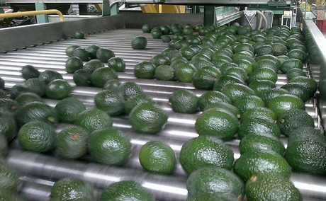 Nos especializamos en la importación y exportación de productos de la más alta calidad desde Colombia